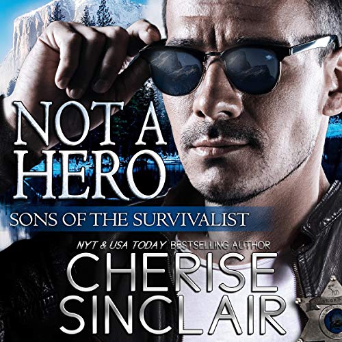 Cover of Not a Hero