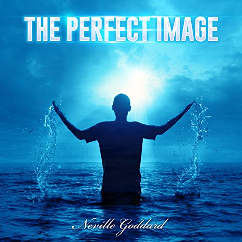 Cover of The Perfect Image