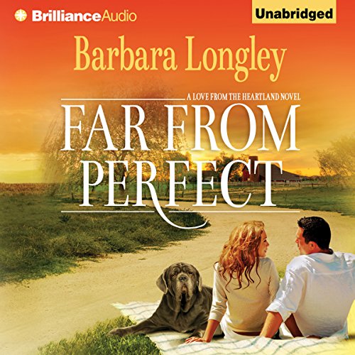 Cover of Far from Perfect