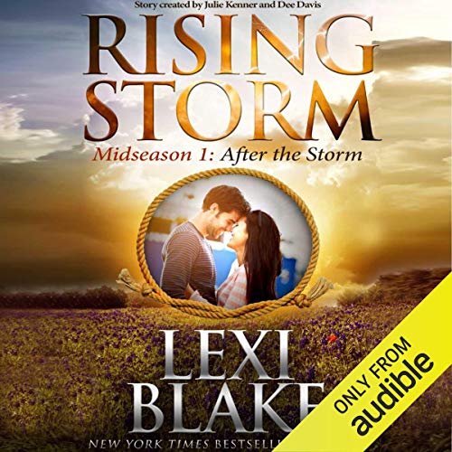 Cover of After the Storm