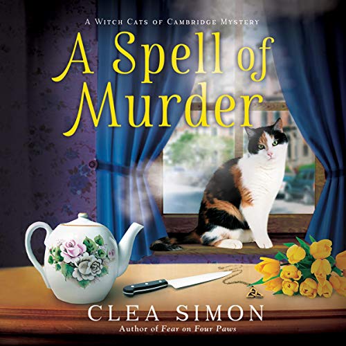 Cover of A Spell of Murder