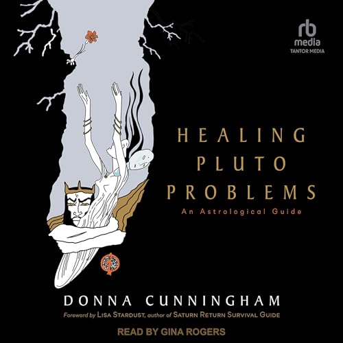 Cover of Healing Pluto Problems