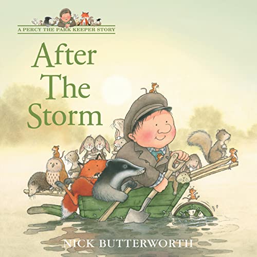 Cover of After the Storm