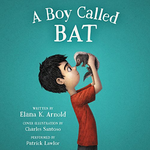 Cover of A Boy Called Bat