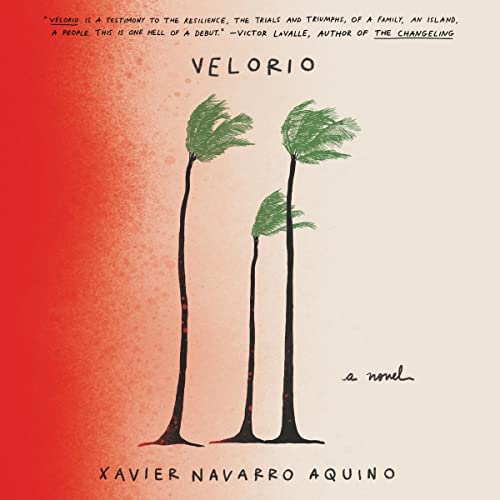 Cover of Velorio