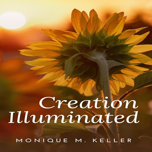 Cover of Creation Illuminated