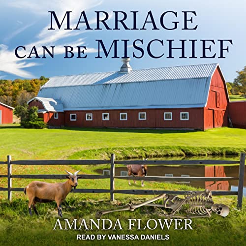 Cover of Marriage Can Be Mischief
