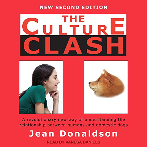 Cover of The Culture Clash