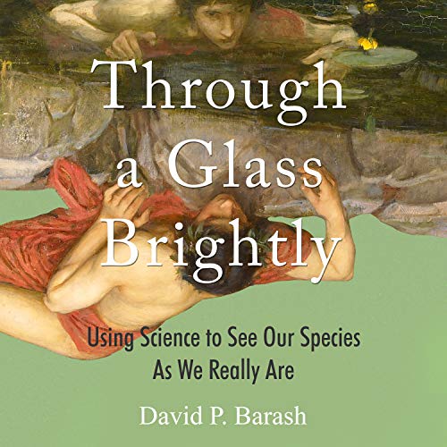 Cover of Through a Glass Brightly
