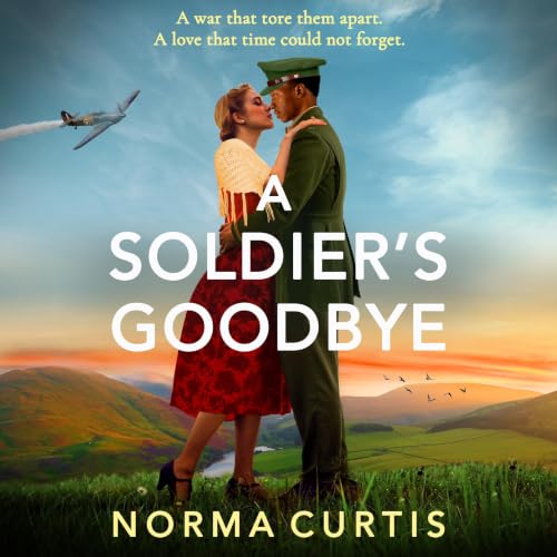 Cover of A Soldier's Goodbye