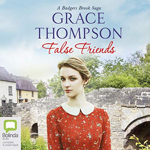 Cover of False Friends
