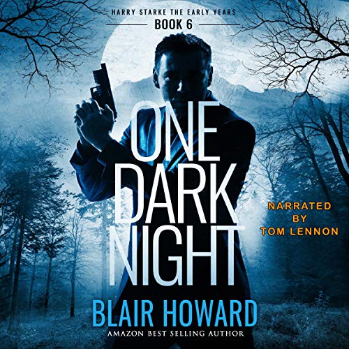Cover of One Dark Night
