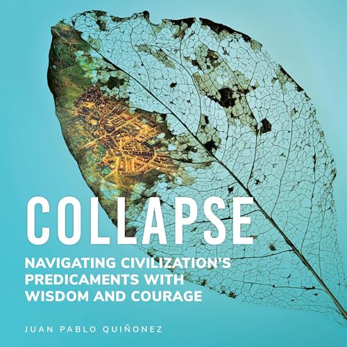 Cover of Collapse: Navigating Civilization’s Predicaments with Wisdom and Courage