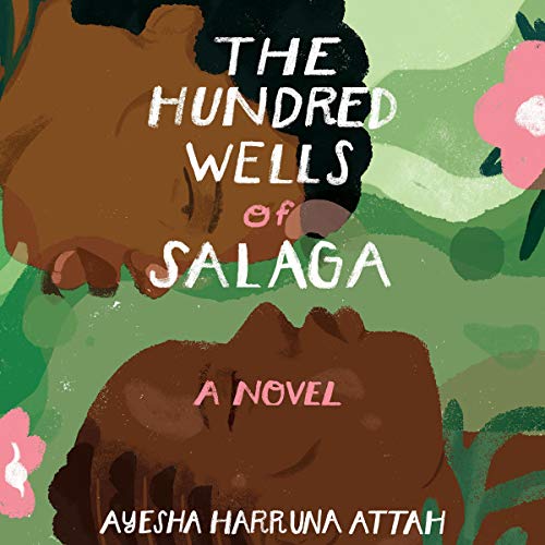 Cover of The Hundred Wells of Salaga