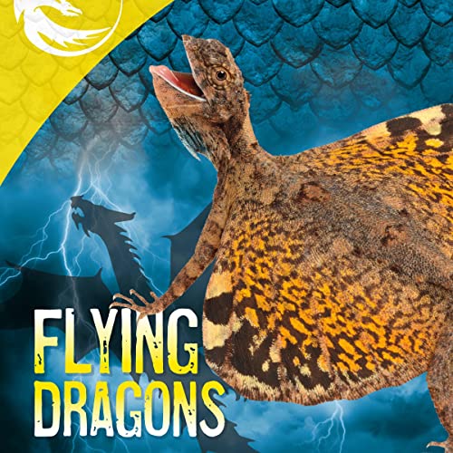 Cover of Flying Dragons