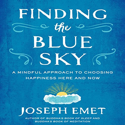 Cover of Finding the Blue Sky