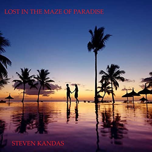 Cover of Lost in the Maze of Paradise