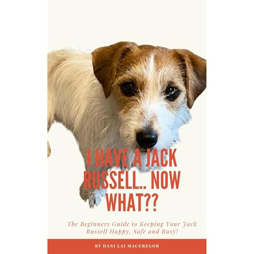 Cover of I HAVE A JACK RUSSELL.. NOW WHAT?