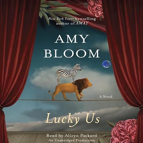 Cover of Lucky Us