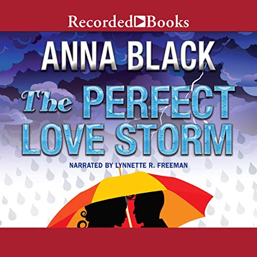 Cover of The Perfect Love Storm
