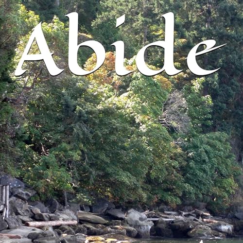 Cover of Abide