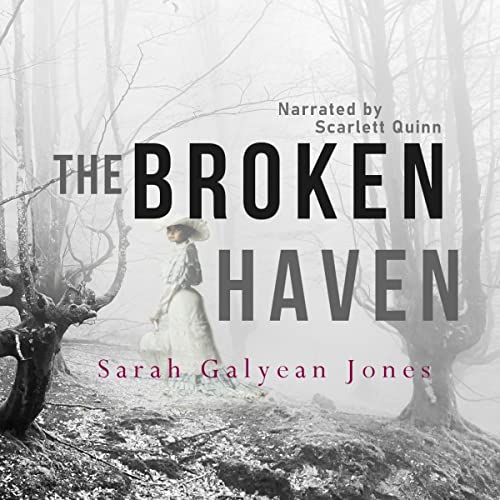 Cover of The Broken Haven