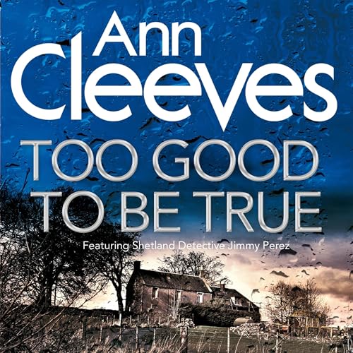 Cover of Too Good To Be True