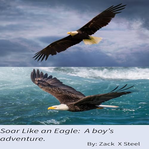 Cover of Soar Like an Eagle
