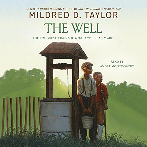 Cover of The Well