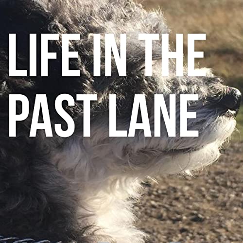 Cover of Life in the Past Lane