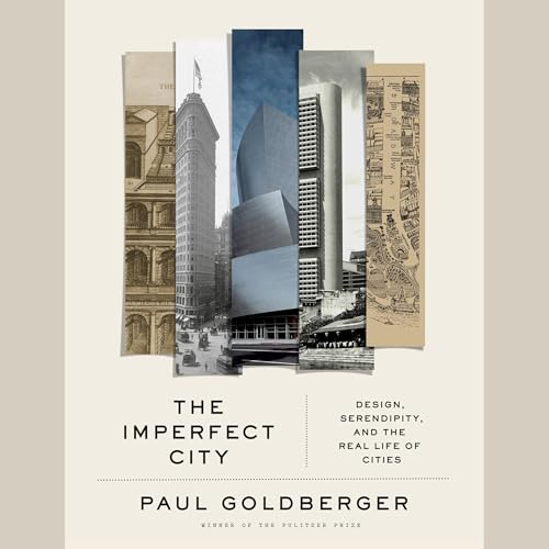 Cover of The Imperfect City