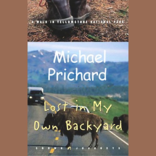 Cover of Lost in My Own Backyard
