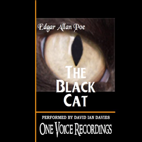Cover of The Black Cat