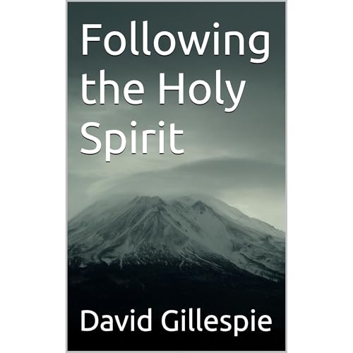 Cover of Following the Holy Spirit