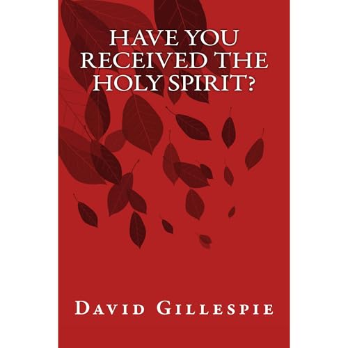 Cover of Have You Received the Holy Spirit?