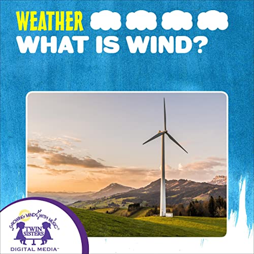 Cover of What Is Wind?