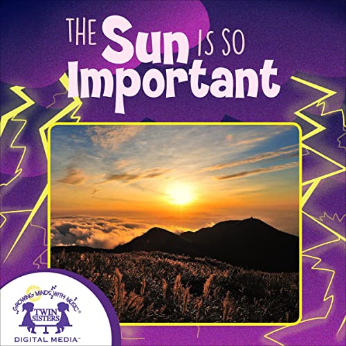 Cover of The Sun Is So Important
