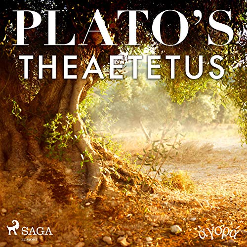 Cover of Plato’s Theaetetus