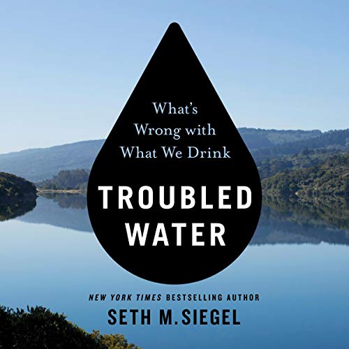 Cover of Troubled Water