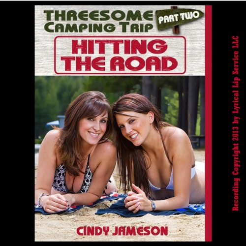 Cover of Hitting the Road, Part Two