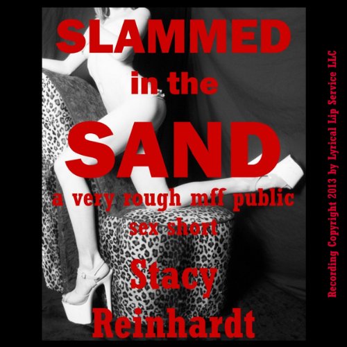 Cover of Slammed in the Sand