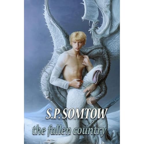 Cover of The Fallen Country