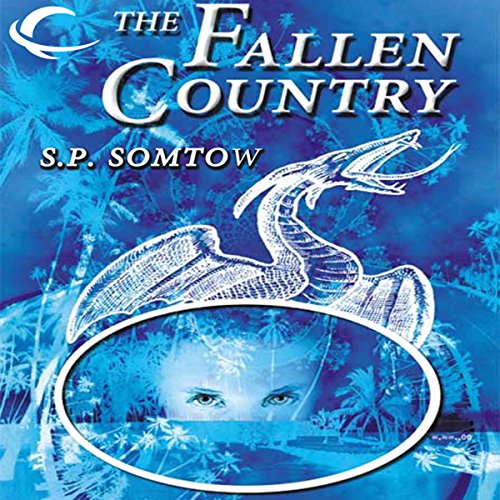 Cover of The Fallen Country