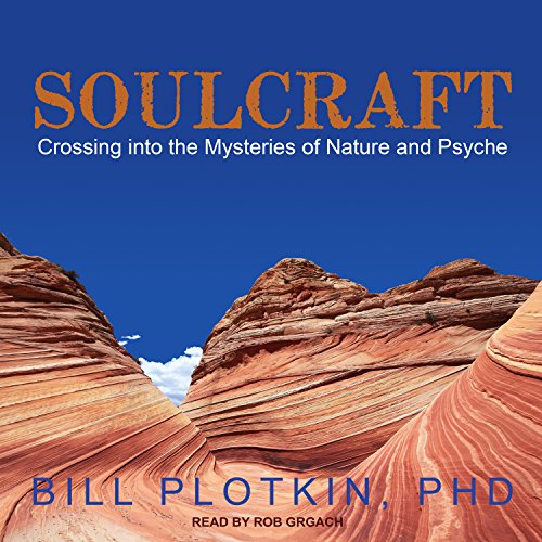 Cover of Soulcraft
