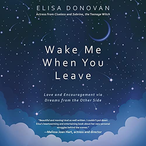 Cover of Wake Me When You Leave