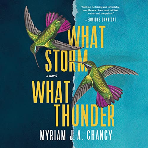 Cover of What Storm, What Thunder
