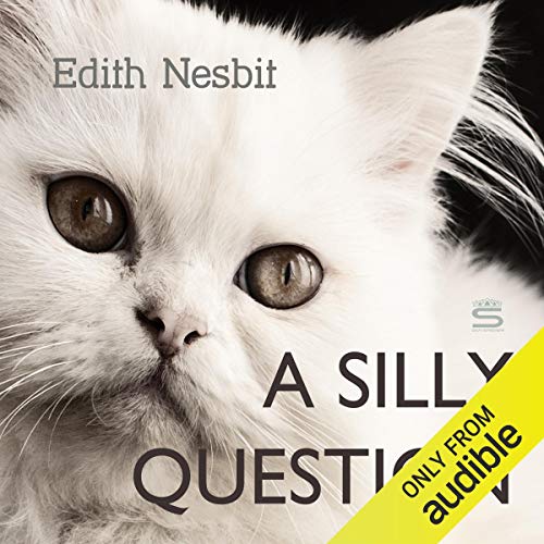 Cover of A Silly Question