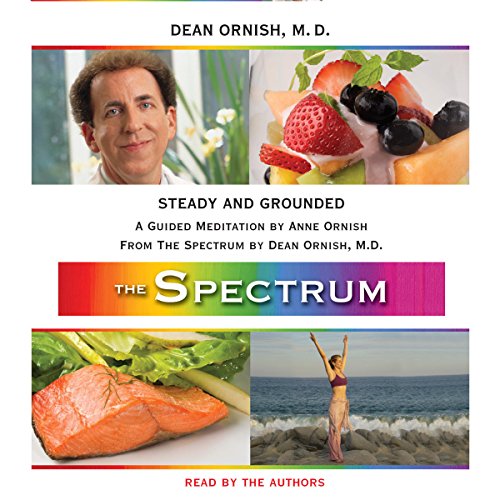 Cover of Steady and Grounded