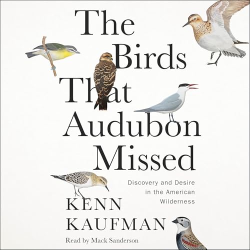 Cover of The Birds That Audubon Missed