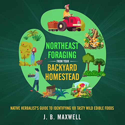 Cover of Northeast Foraging from Your Backyard Homestead